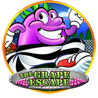 pp image